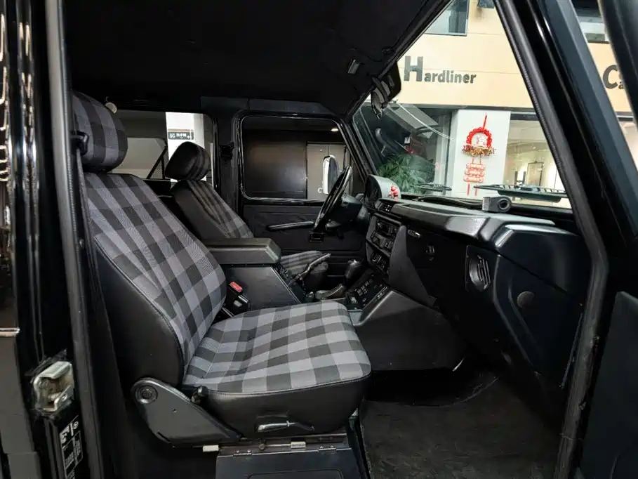 Mercedes-Benz G-Class G 2010 G 300