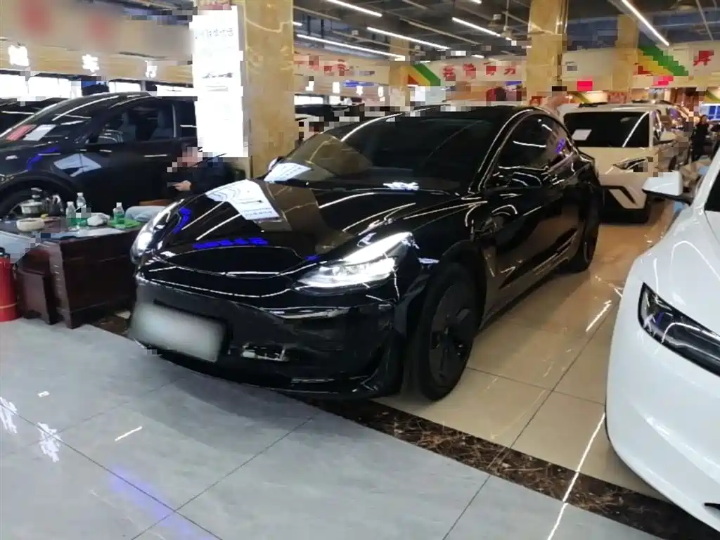 Tesla Model 3 2021