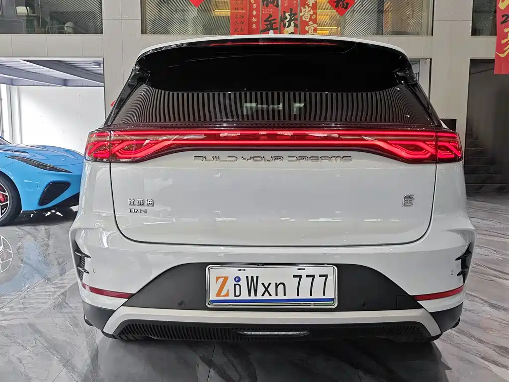 BYD Tang New Energy — миниатюра 30