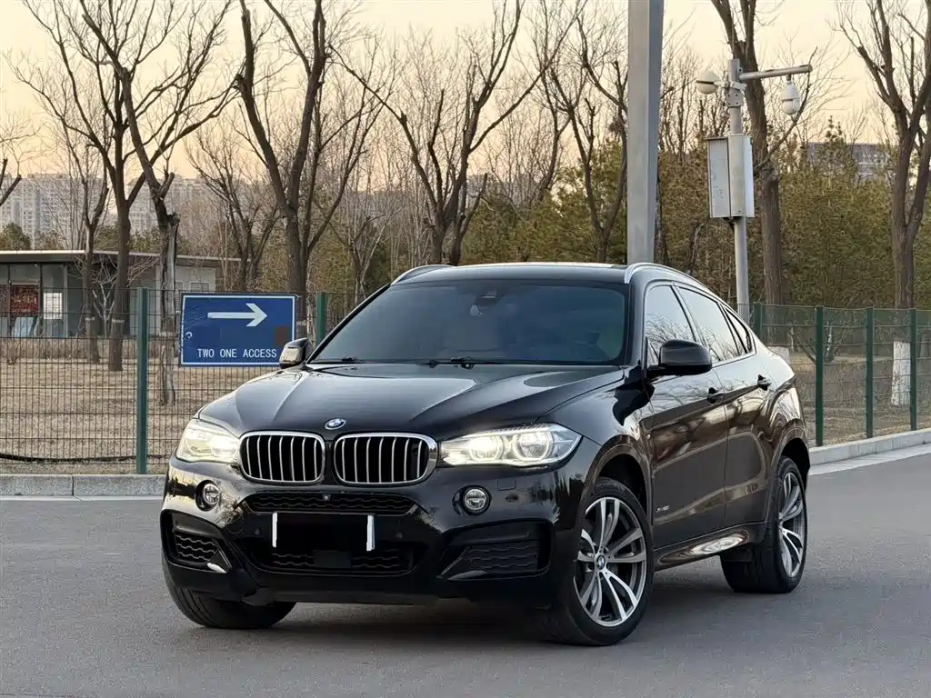 Купить BMW X6
