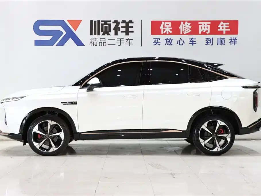 ROEWE WHALE