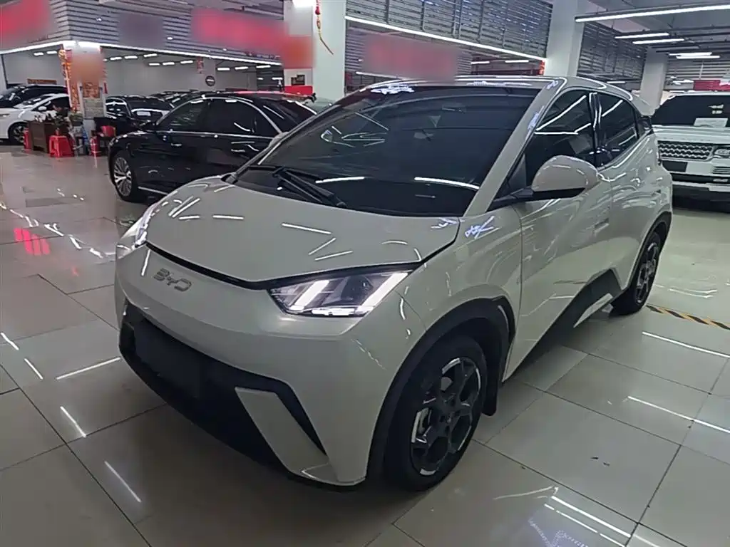 Byd Seagull 2024