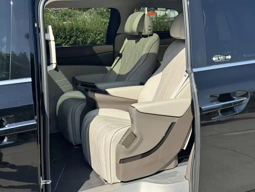 Denza Denza D9 — миниатюра 12