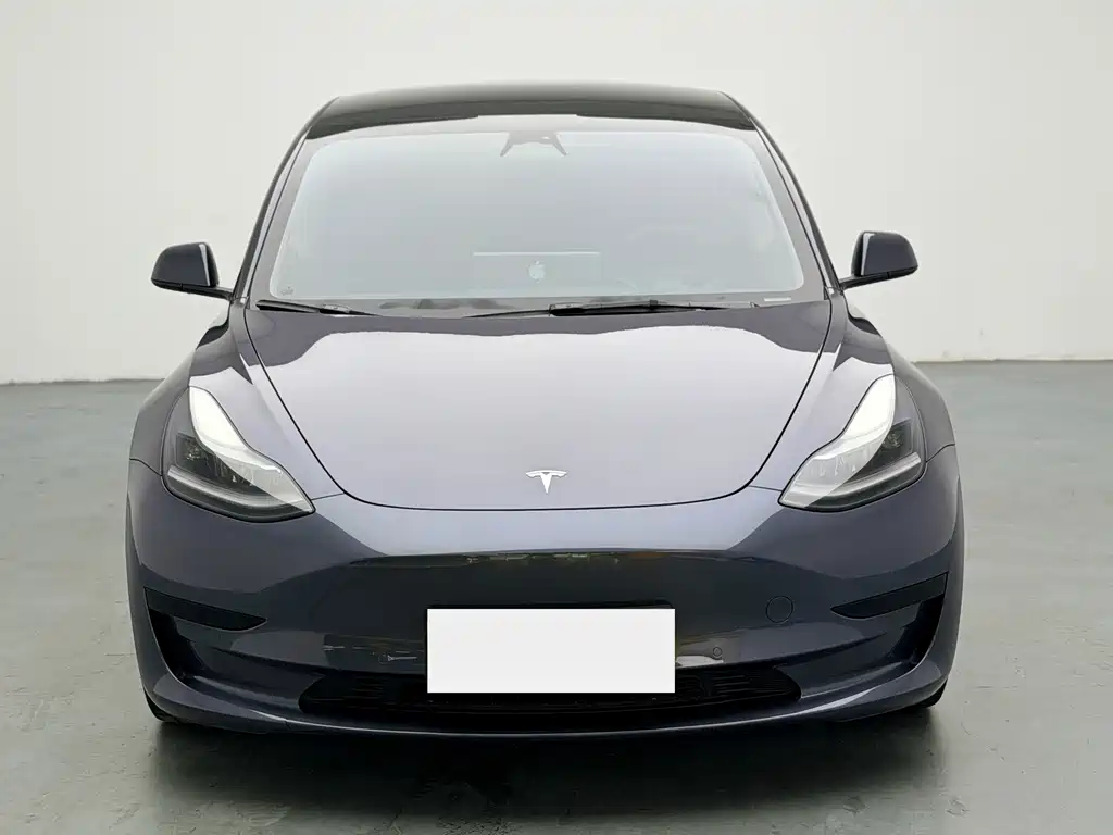 Tesla Model 3 — миниатюра 2
