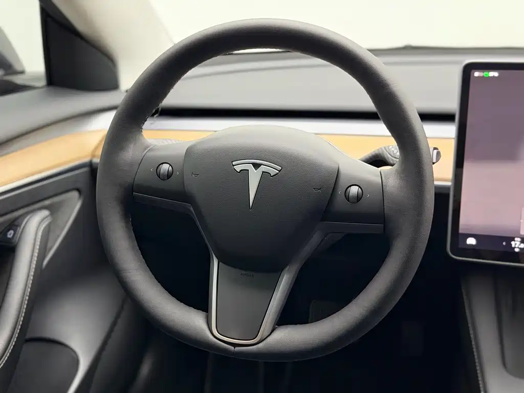 Tesla Model 3 — миниатюра 19
