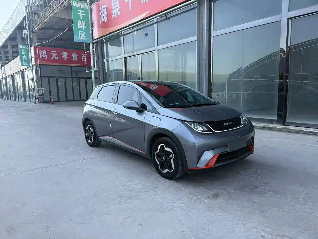 BYD DOLPHIN