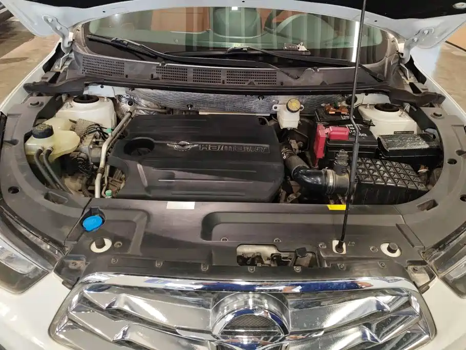 Haima Haima S5 — миниатюра 10