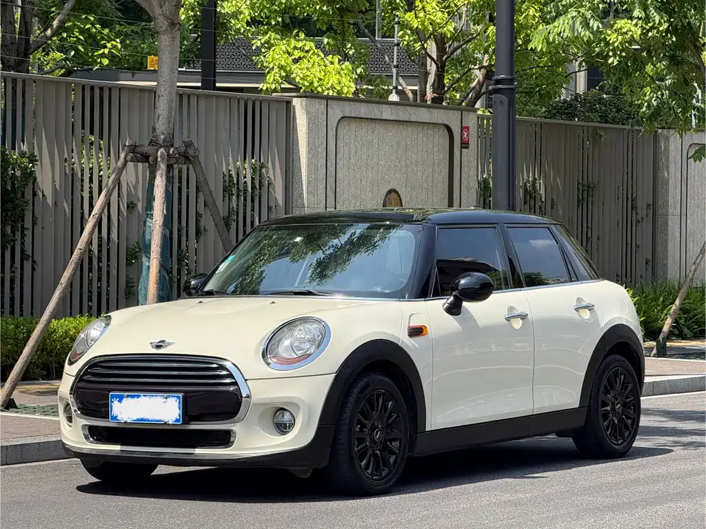 Mini Mini 2017