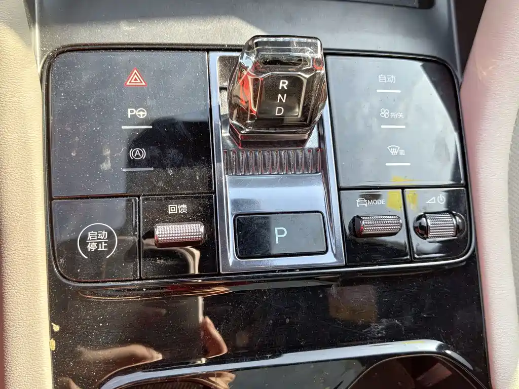 BYD SONGJIANG NEW ENERGY