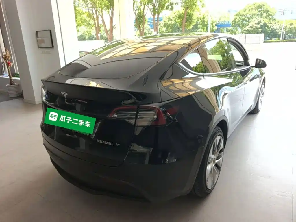 Tesla Model Y — миниатюра 7