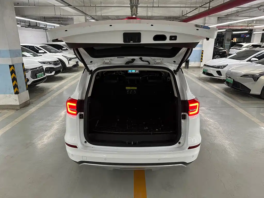 BYD New Energy — миниатюра 7