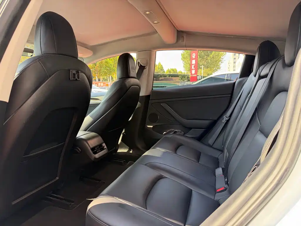 Tesla Model 3 — миниатюра 8