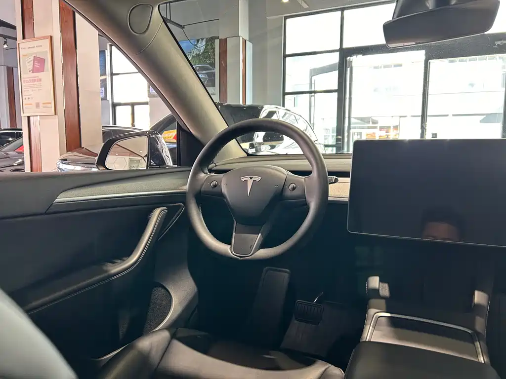 Tesla Model Y — миниатюра 21
