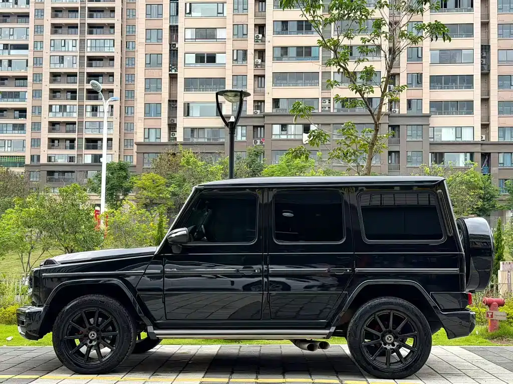 Mercedes-Benz G-Class G 2010 G 500