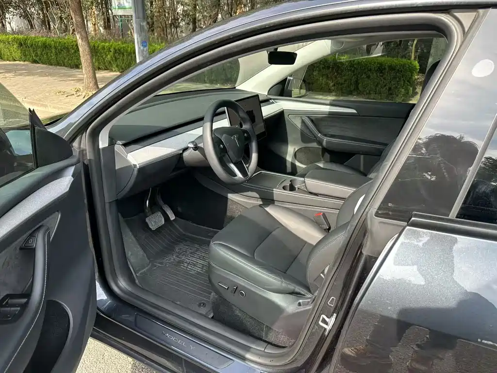 Tesla Model Y — миниатюра 9