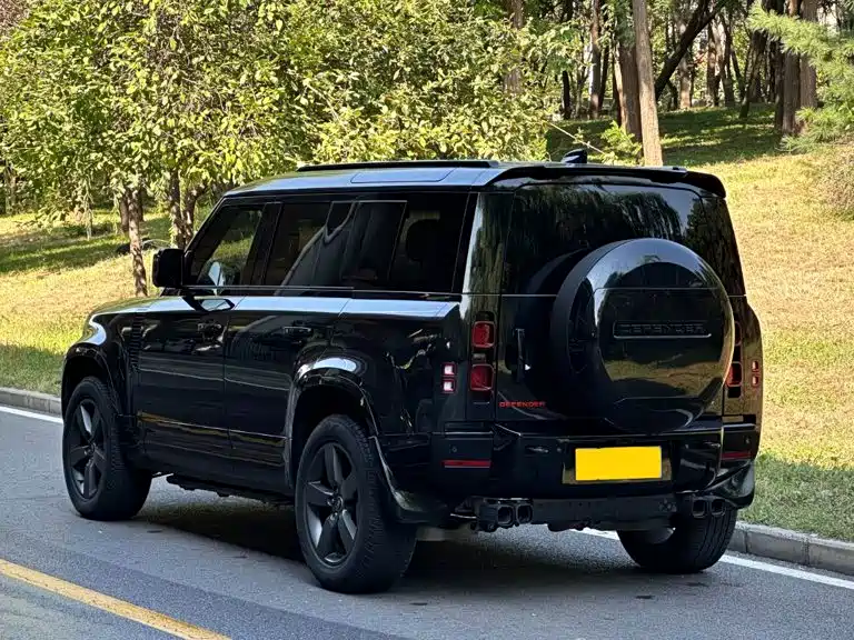 Land Rover Defender — миниатюра 3