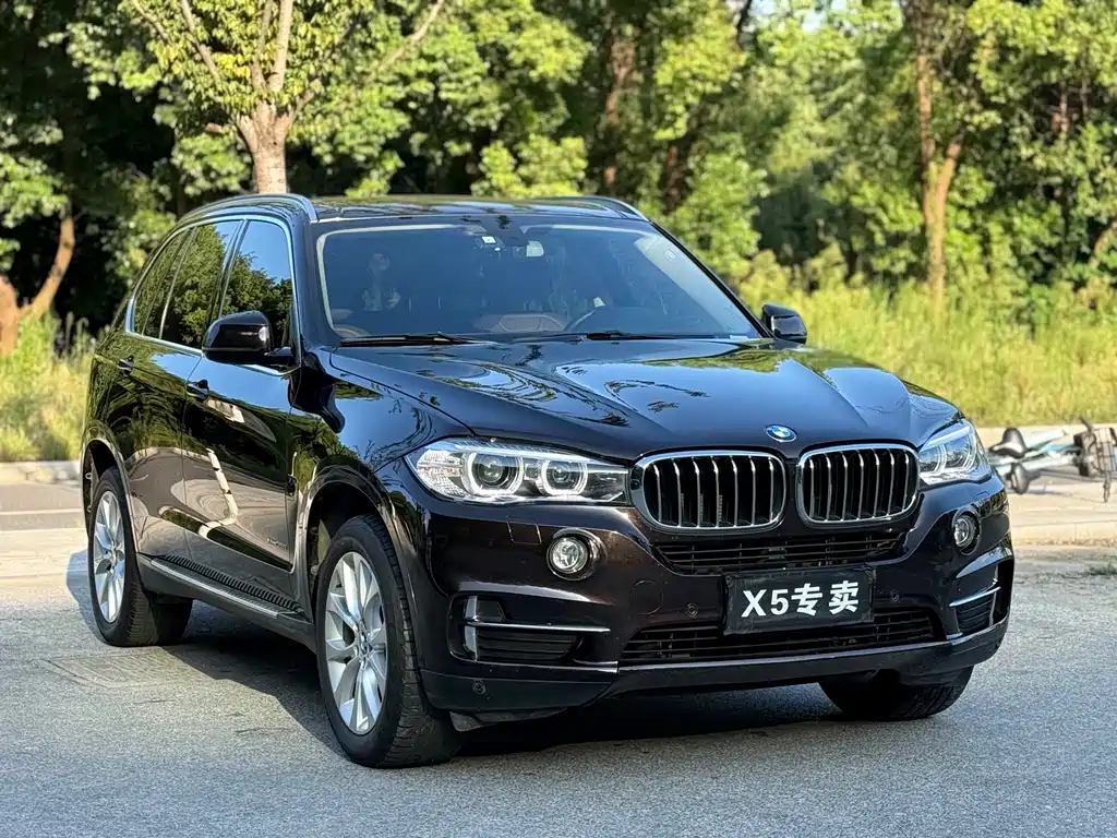 BMW X5 (Import) — миниатюра 3