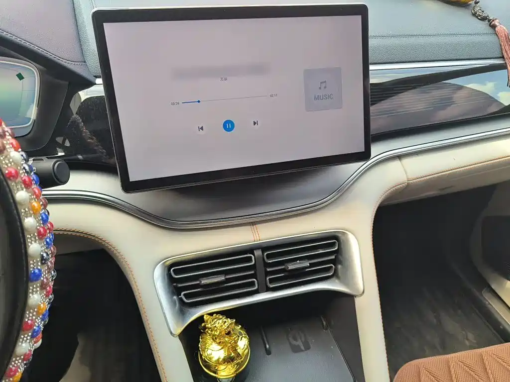 BYD PLUS New Energy — миниатюра 6