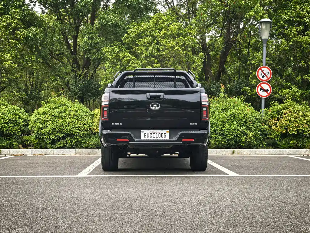 Great Wall Pao — миниатюра 6