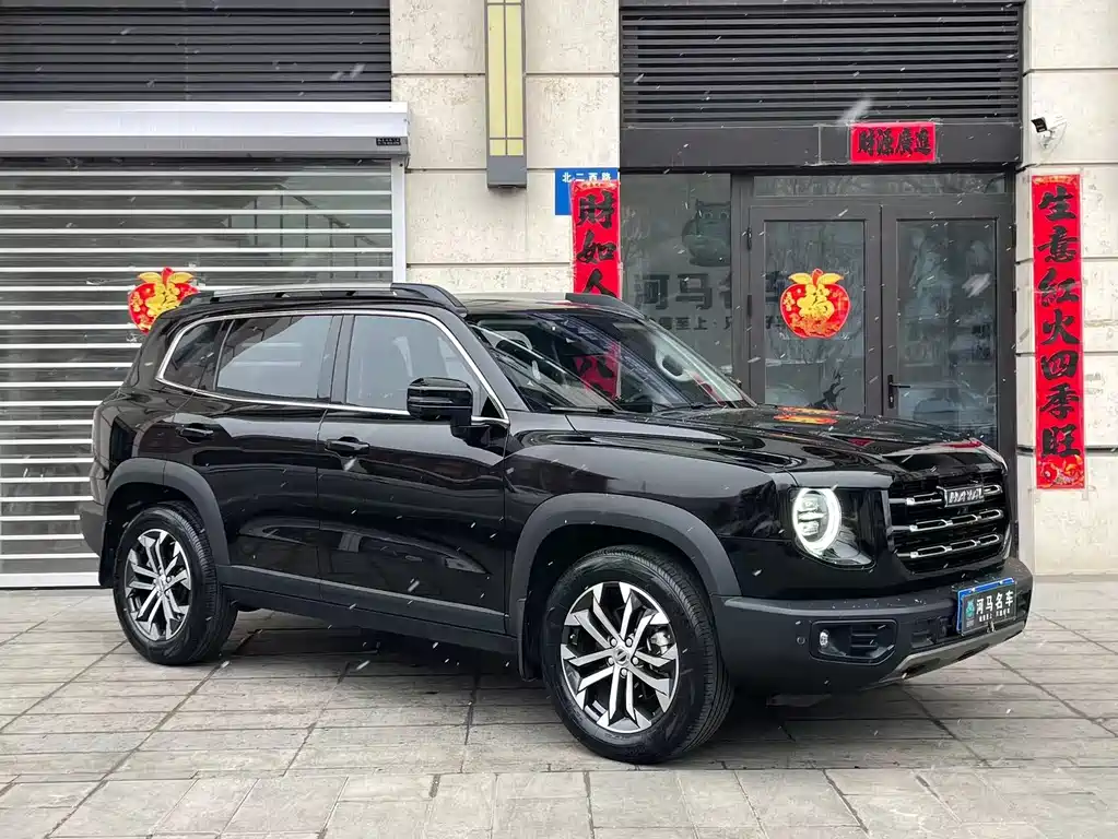 HAVAL BIG DOG