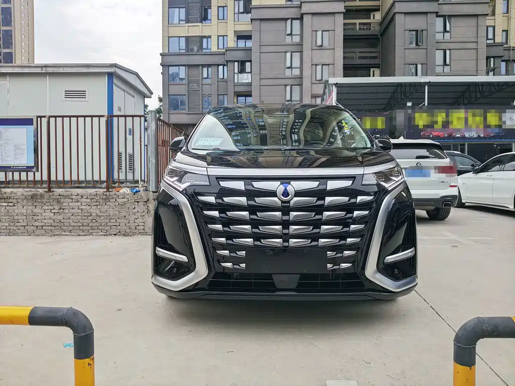 Denza Denza D9 — миниатюра 2
