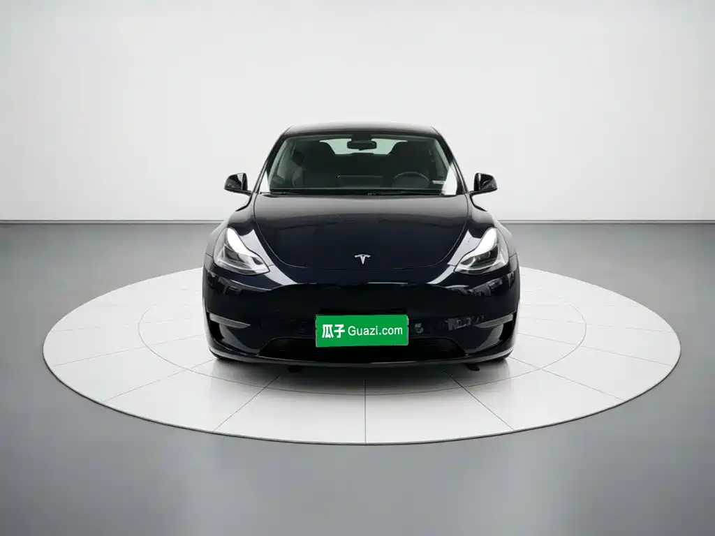 Tesla Model Y — миниатюра 2