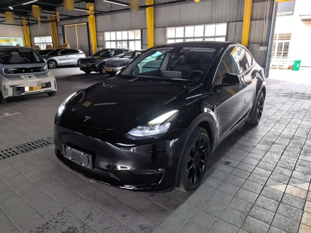 Tesla Model Y — миниатюра 2