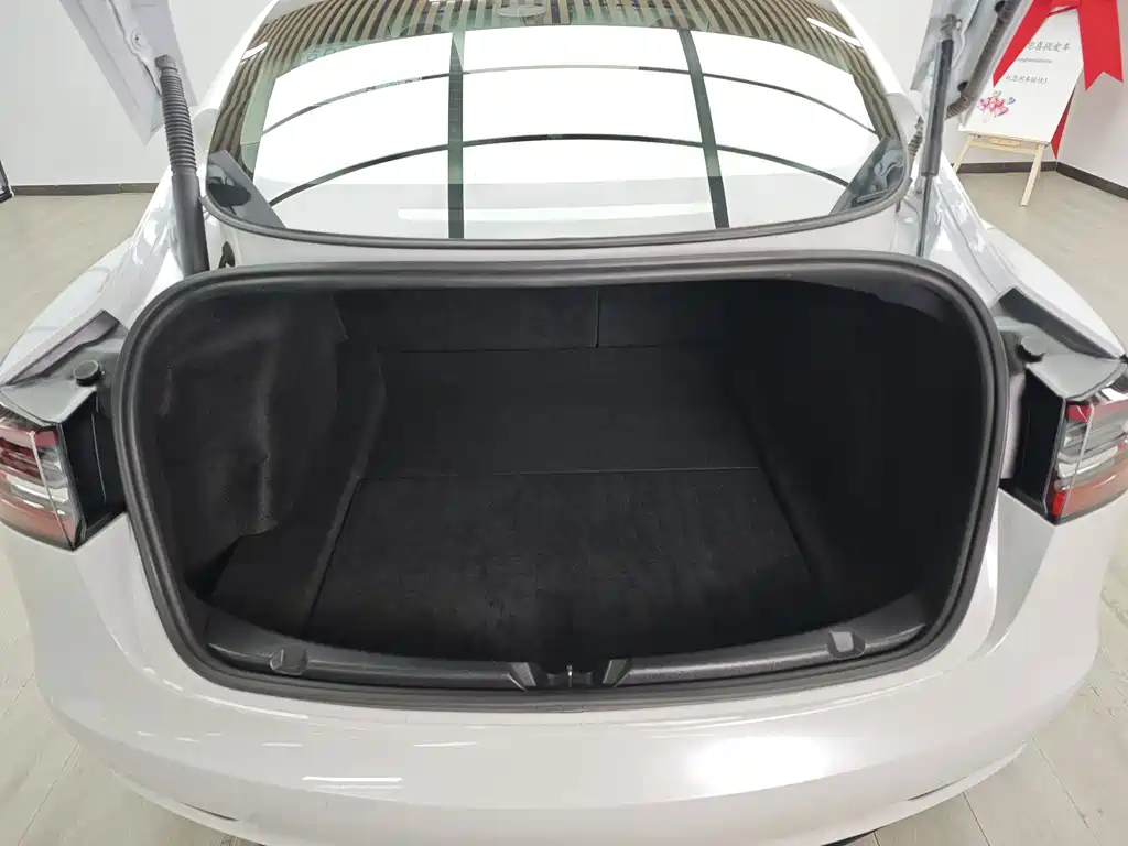 Tesla Model 3 — миниатюра 10
