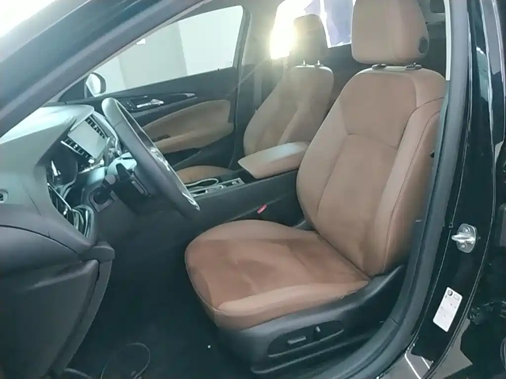 Buick Regal — миниатюра 15