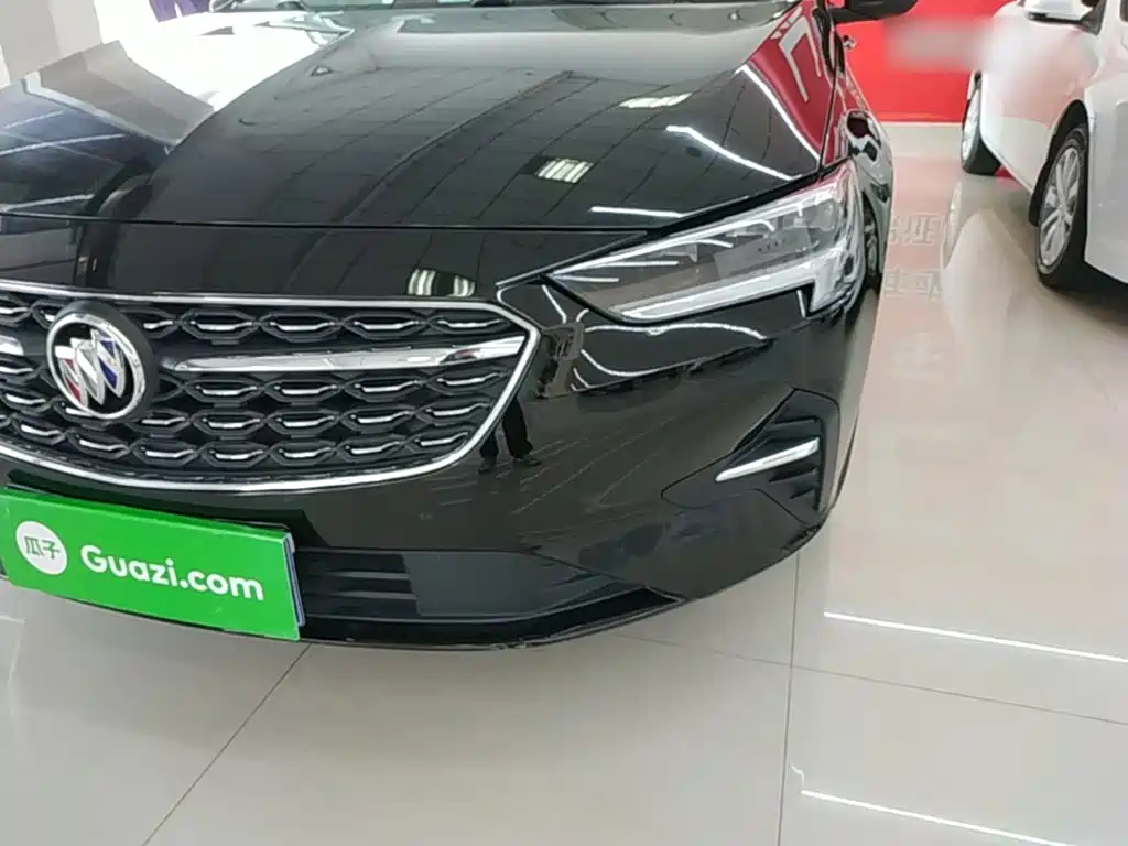 Buick Regal — миниатюра 24