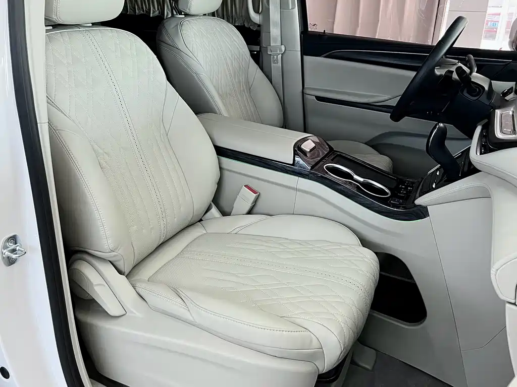 Buick GL8 — миниатюра 8