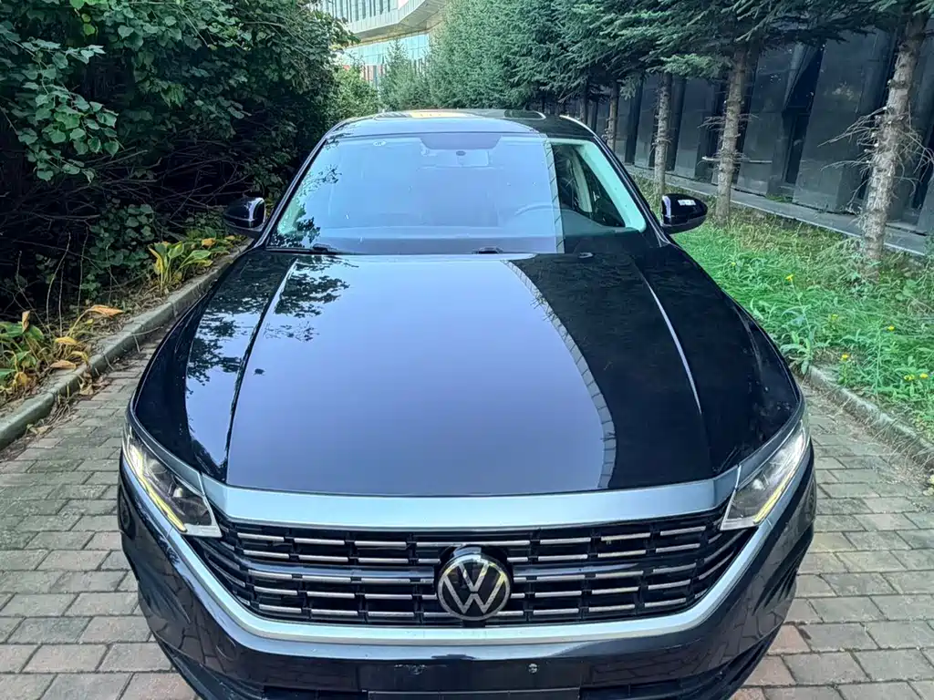 Volkswagen Passat — миниатюра 2