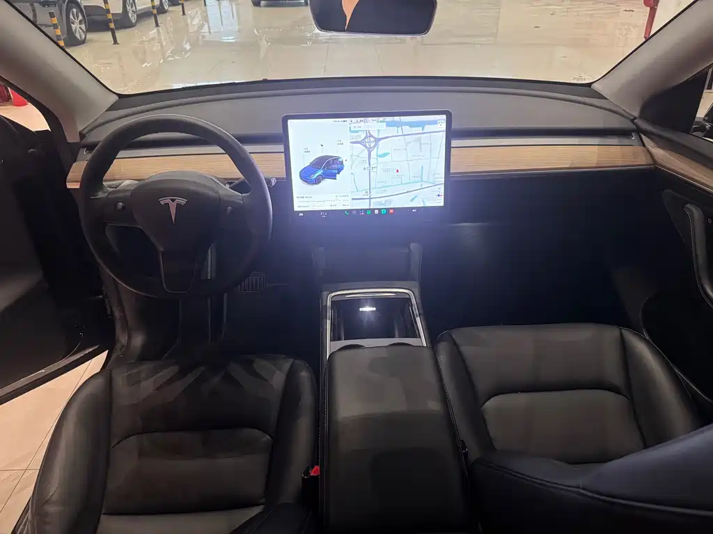 Tesla Model Y — миниатюра 9