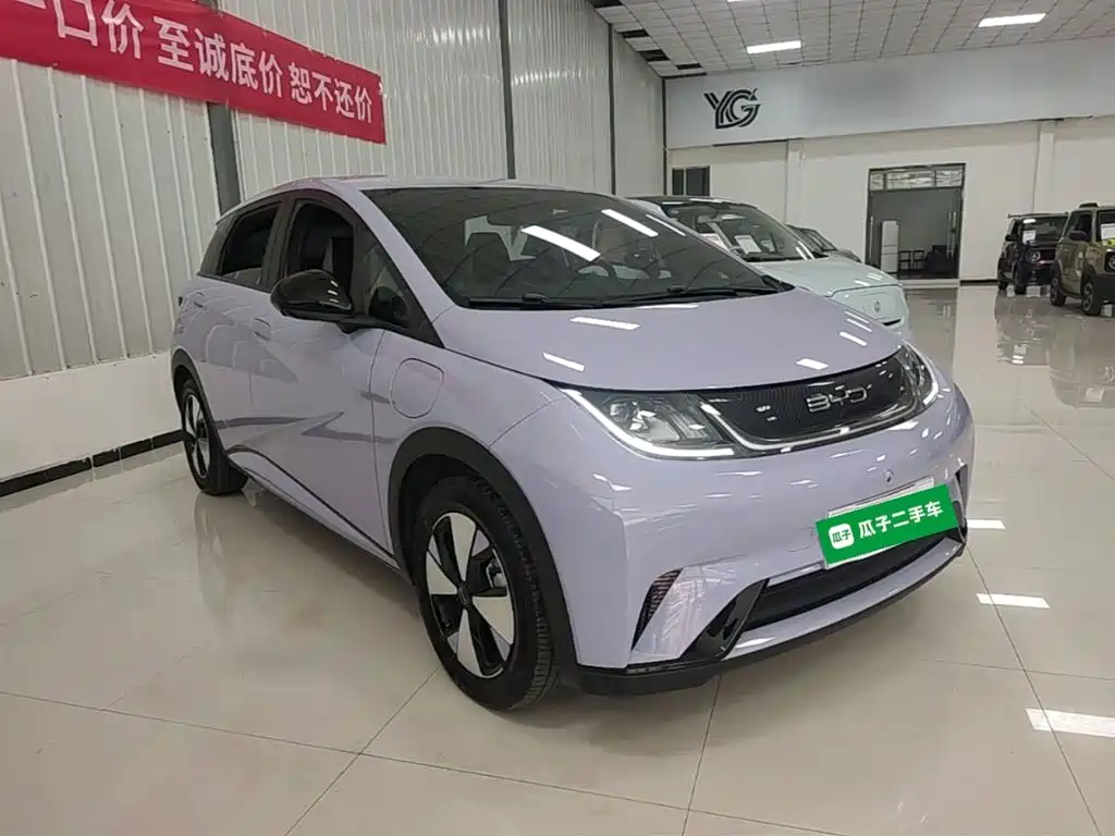 BYD Dolphin — миниатюра 4