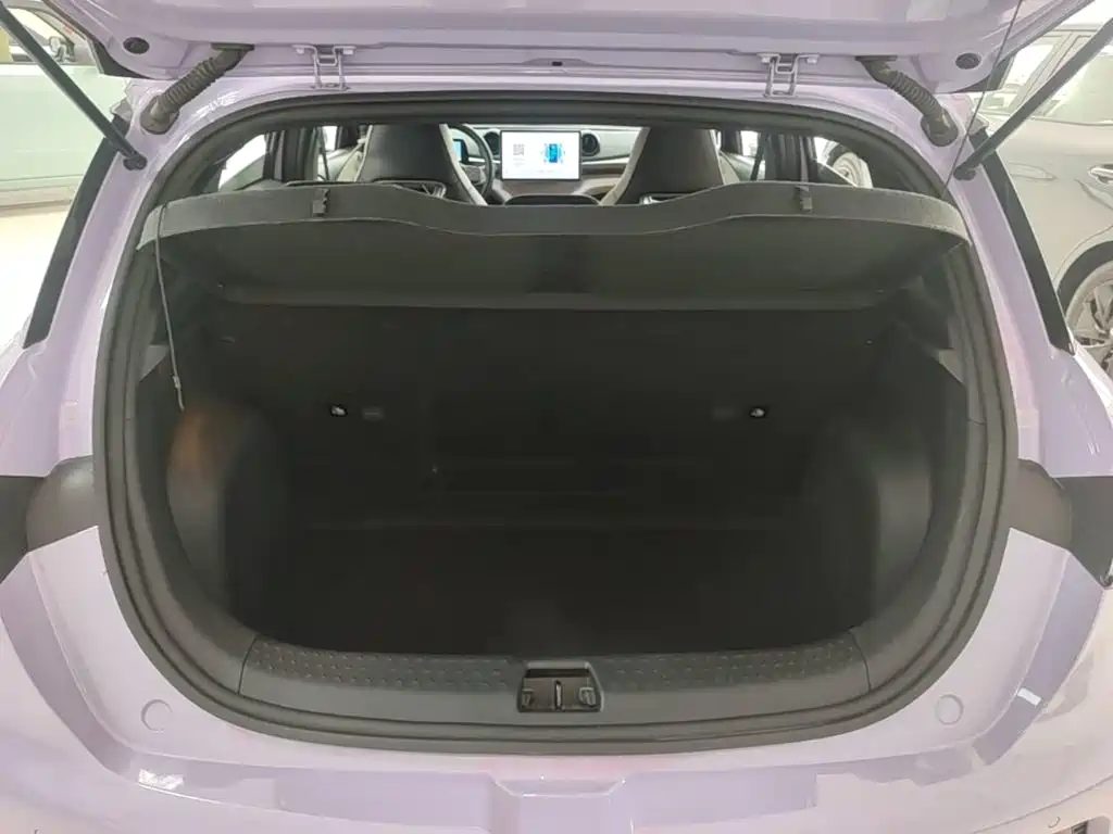 BYD Dolphin — миниатюра 19