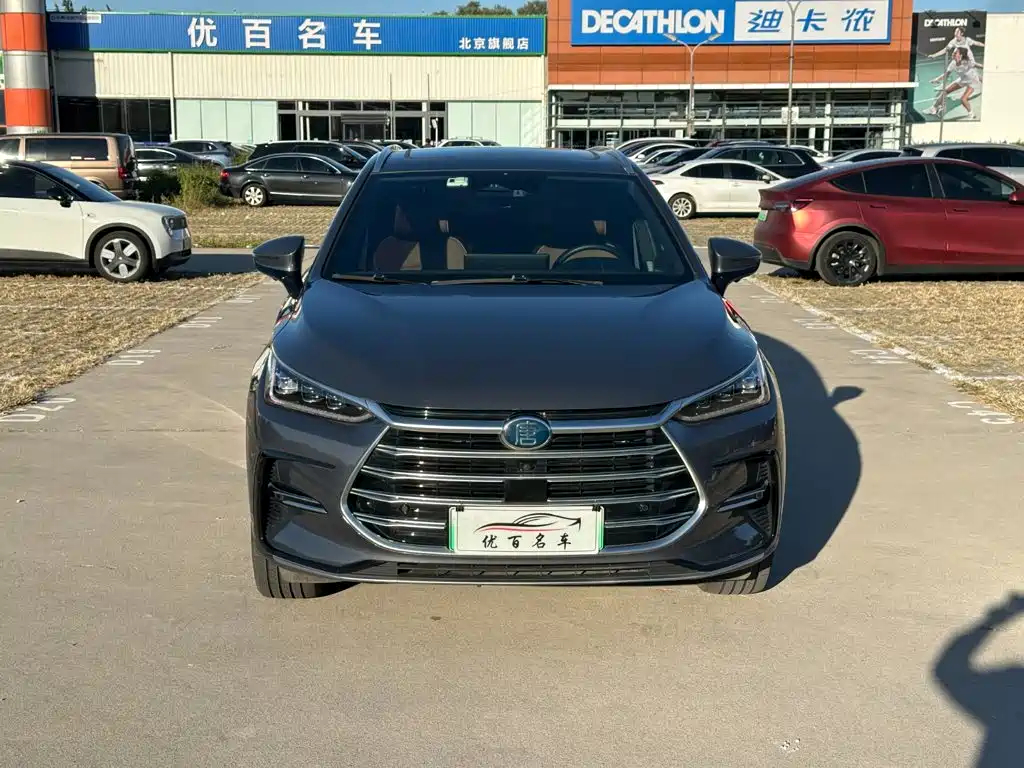 BYD Tang New Energy — миниатюра 2