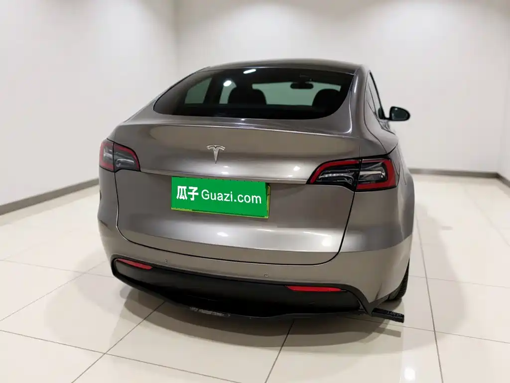 Tesla Model Y — миниатюра 3