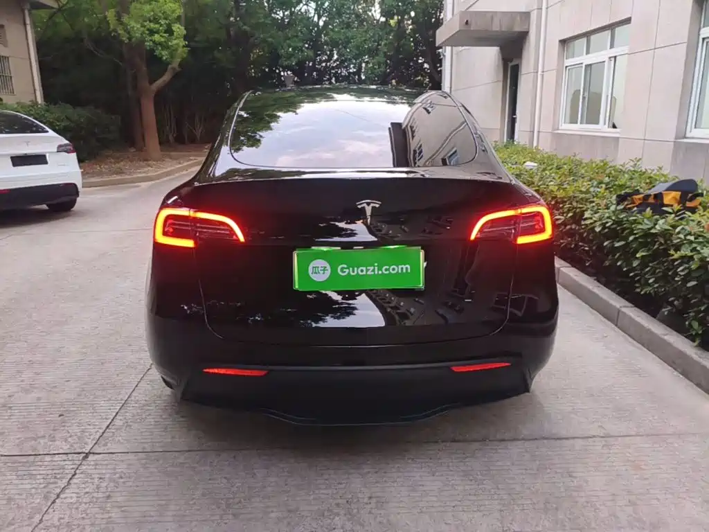 Tesla Model Y — миниатюра 6