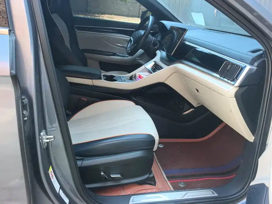 BYD PLUS New Energy — миниатюра 8
