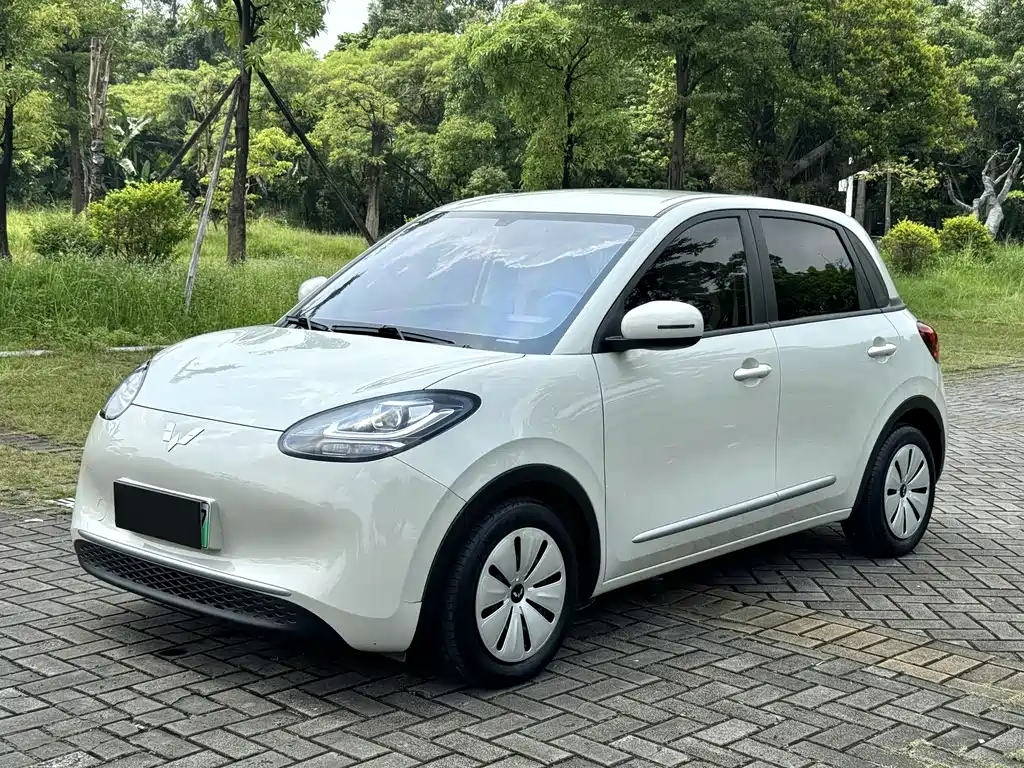 Wuling Bingo