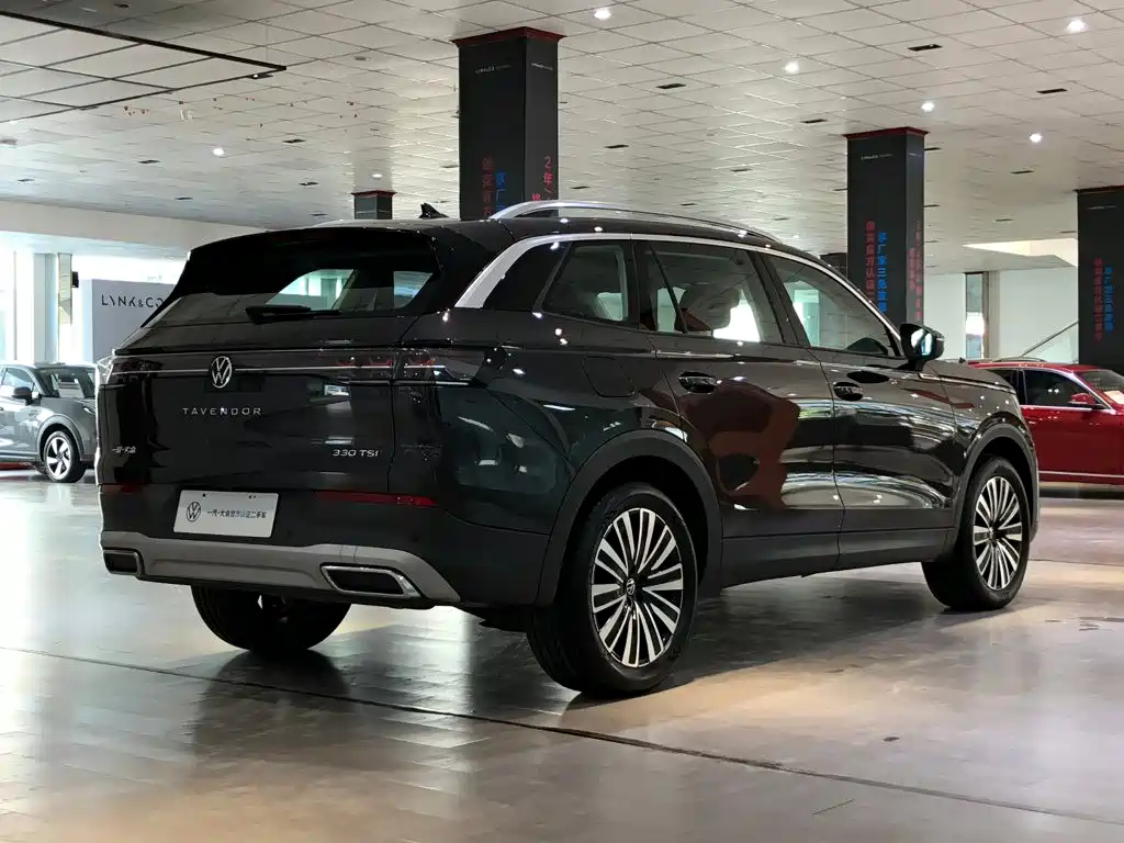 Volkswagen Tavendor — миниатюра 12