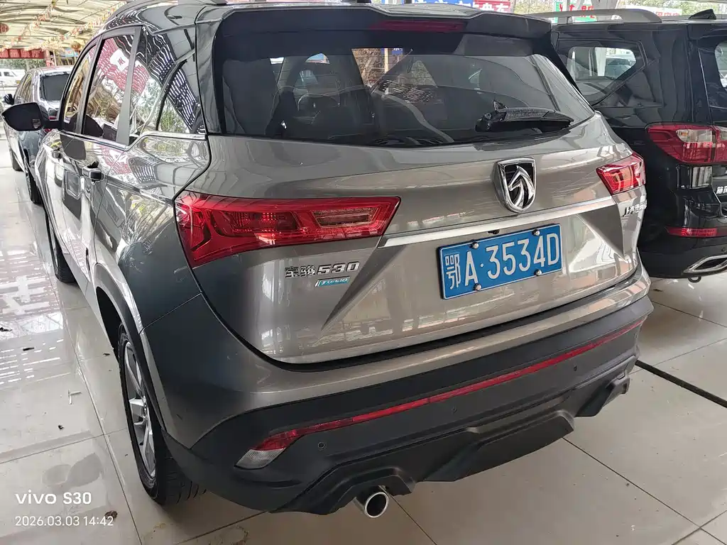 BAOJUN 530