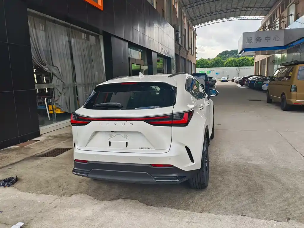 LEXUS  NX