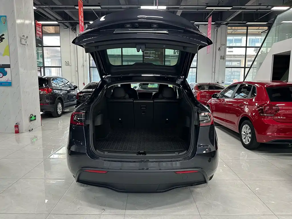 Tesla Model Y — миниатюра 15