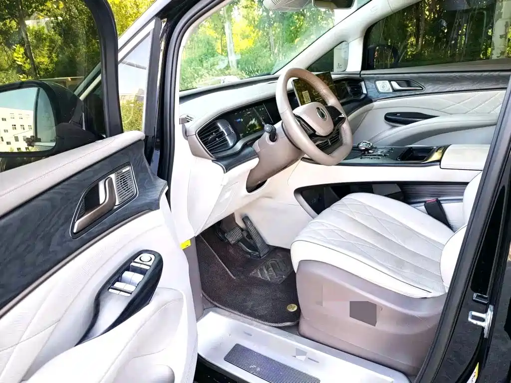 Denza Denza D9 — миниатюра 6