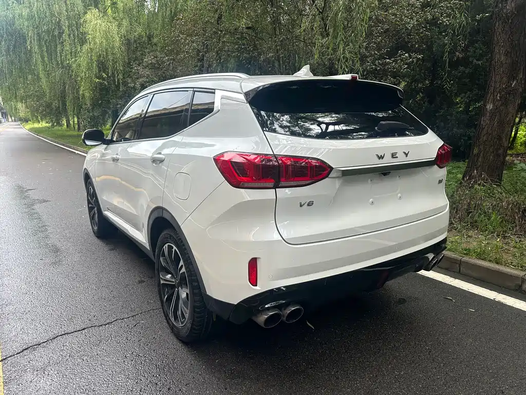 Wey Wey VV6 — миниатюра 15