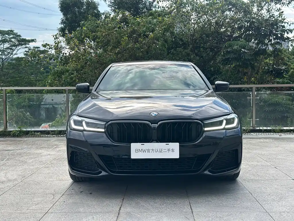 BMW 5 Series (Import) — миниатюра 2