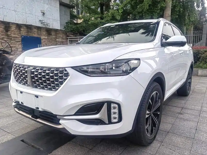 Wey Wey VV6 2021