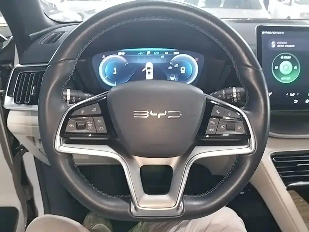 BYD PLUS New Energy — миниатюра 11