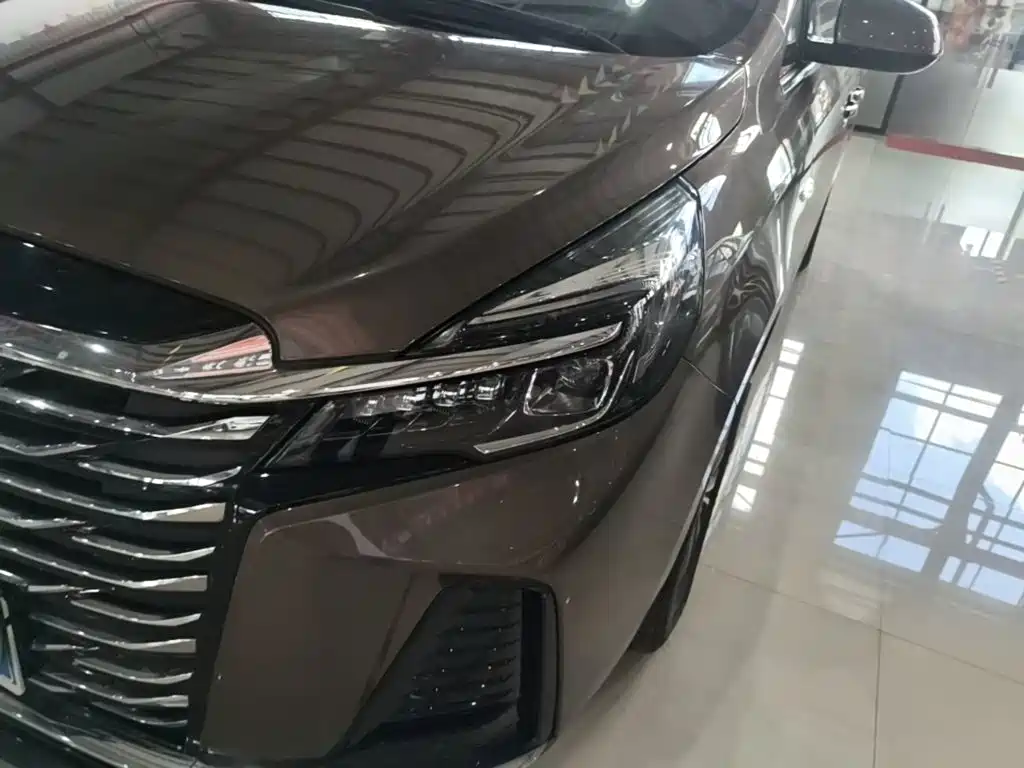 Buick GL8 — миниатюра 24